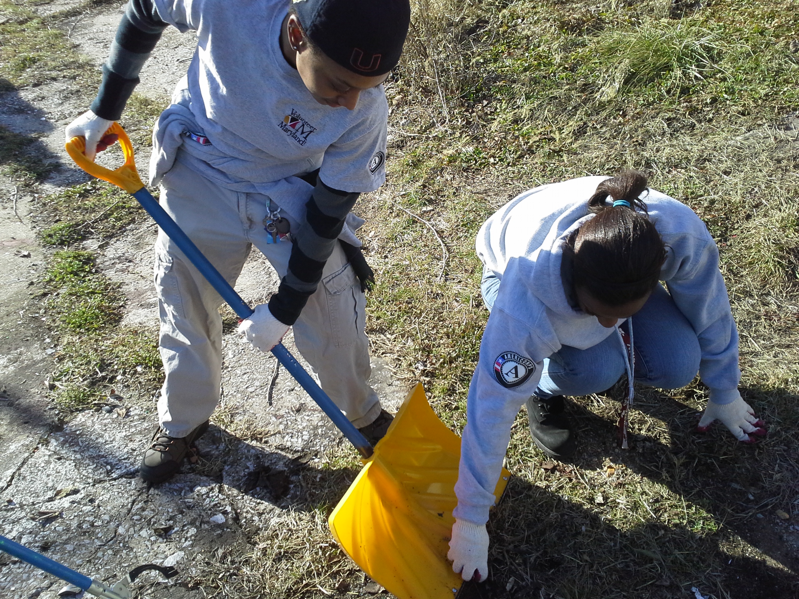 mlk day volunteer