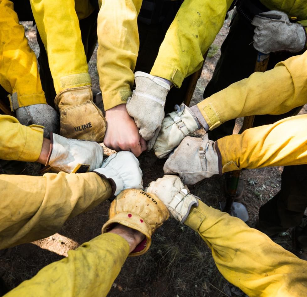 Lots of arms wearing yellow jackets putting their hands together