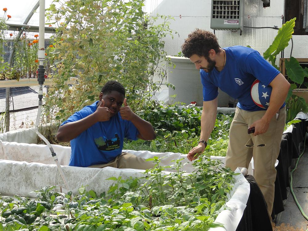 Baltimore Conservation Leadership Corps members at work to improve their parks and gardens. 