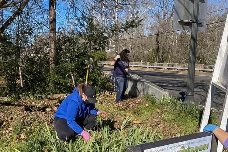 Stephen F. Austin State University volunteers on MLK Day